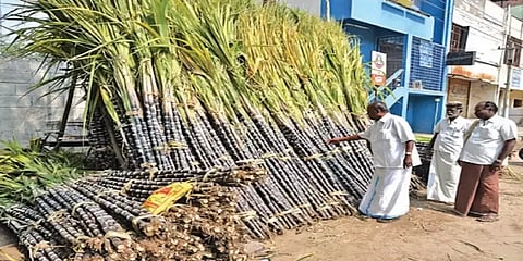 கரும்பு விலை சரிவு: அரசே நேரடியாக கொள்முதல் செய்யக் கோரிக்கை