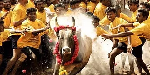 பொங்கலையொட்டி ஜல்லிக்கட்டு நிச்சயம் நடக்கும் - அமைச்சர் மூர்த்தி உறுதி