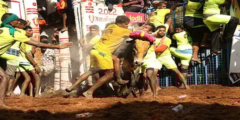 ஆரவாரமாக நடந்து முடிந்த அவனியாபுரம் ஜல்லிக்கட்டு - முதலிடம் பிடித்த வீரர்கள் விவரம்