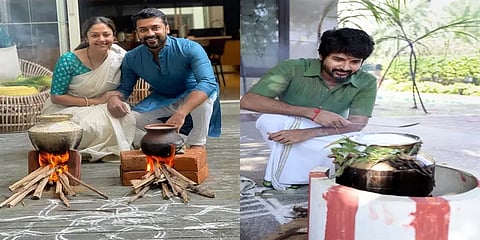 சினிமா பிரபலங்களின் பொங்கல் திருநாள் கொண்டாட்டம்: கலர்ஃபுல் புகைப்படத் தொகுப்பு 