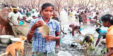 புதுக்கோட்டை: பொன்னமராவதி அருகே நடைபெற்ற பாரம்பரிய மீன்பிடித் திருவிழா