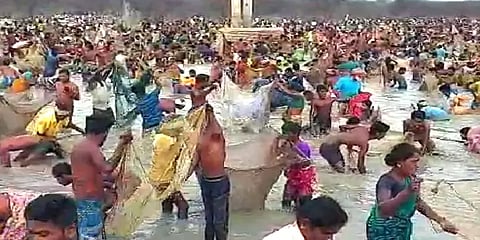 விராலிமலை: ஆயிரக்கணக்கானோர் பங்கேற்ற பாரம்பரிய மீன்பிடித் திருவிழா