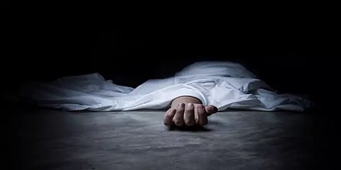 சென்னை: குதிரையின் வாலைப் பிடித்து விளையாடிய சிறுவனுக்கு  நேர்ந்த பரிதாபம்