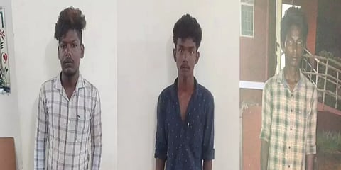 புதுக்கோட்டையில் ஆடு திருடும் கும்பல் கைது: 7 ஆடுகள் உரிமையாளர்களிடம் ஒப்படைப்பு