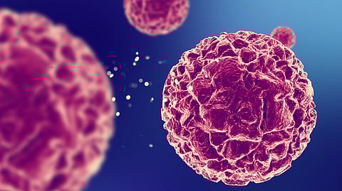 An image of an abnormal cell known as a cancer cell