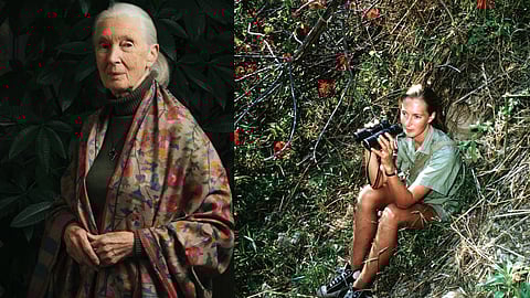 Jane Gondall - English primatologist and anthropologist