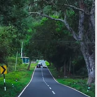 ooty - mudumalai road 