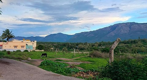masinagudi village
