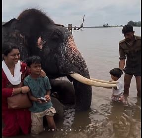 Dubare Elephant Camp