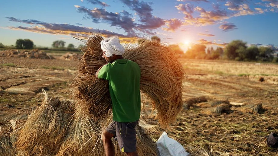 عام انتخابات کے وقت نریندر مودی نے کسانوں کے لئے وعدوں کی جھڑی لگائی تھی