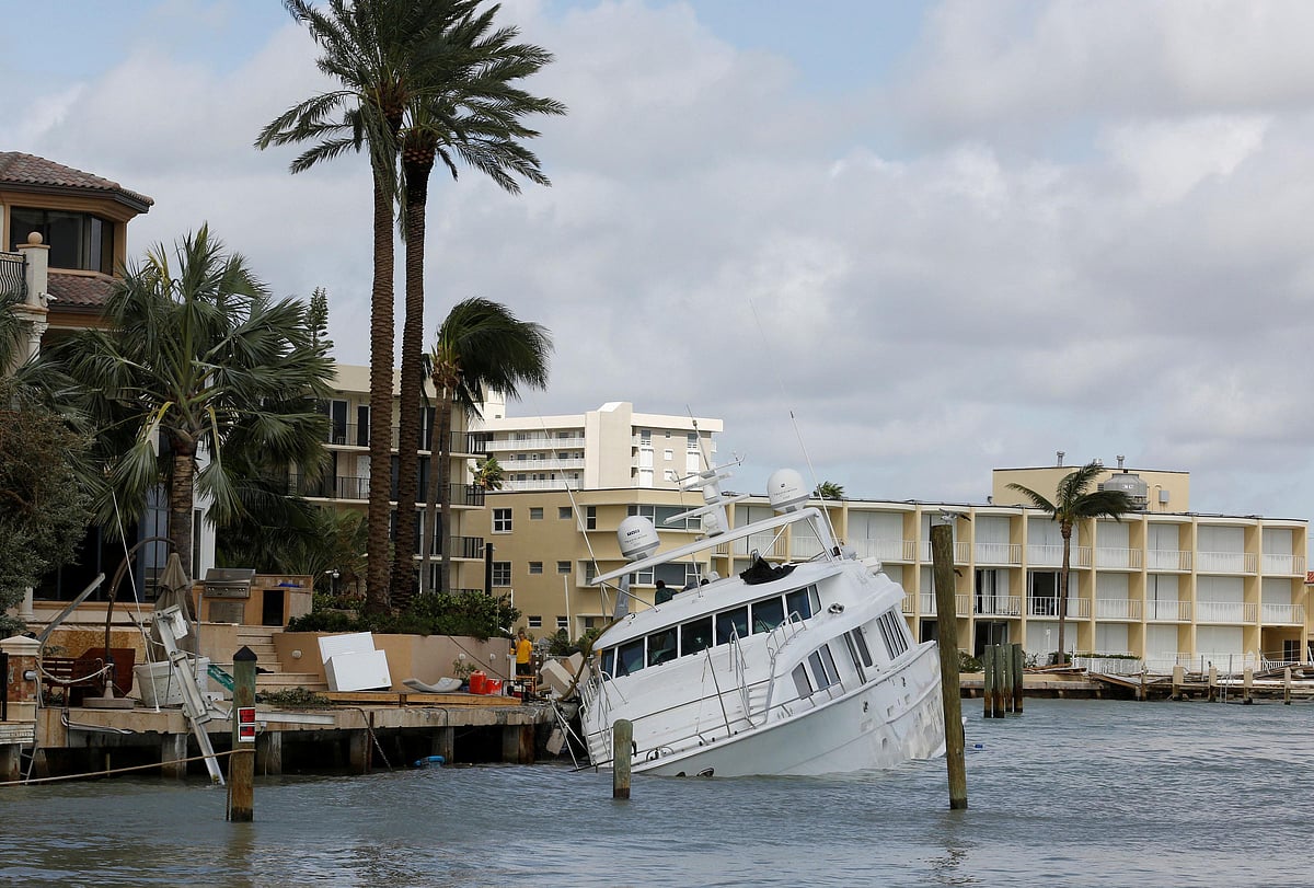 

تصویر: یو این آئی
