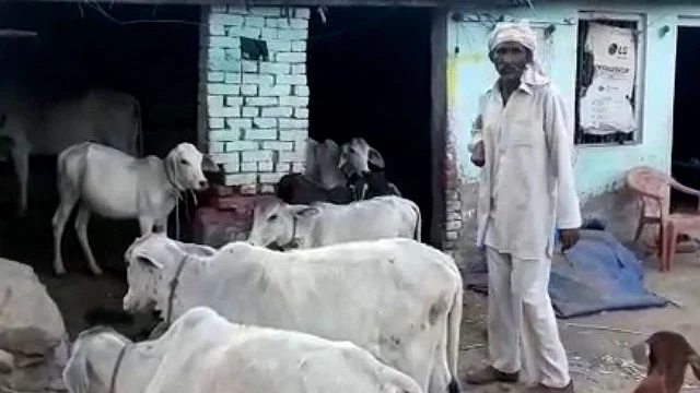 تصویرسوشل میڈیا