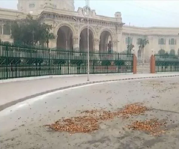 ناراض آلو کسانوں نے یو پی اسمبلی کے باہر آلو کی بارش کی، انتظامیہ بے خبر