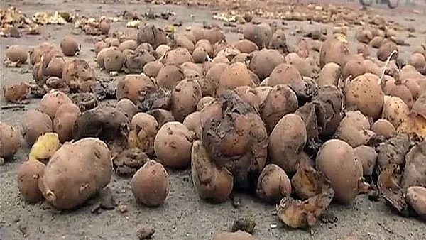 تصویر سوشل میڈیا