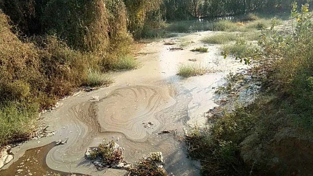 تصویر سوشل میڈیا