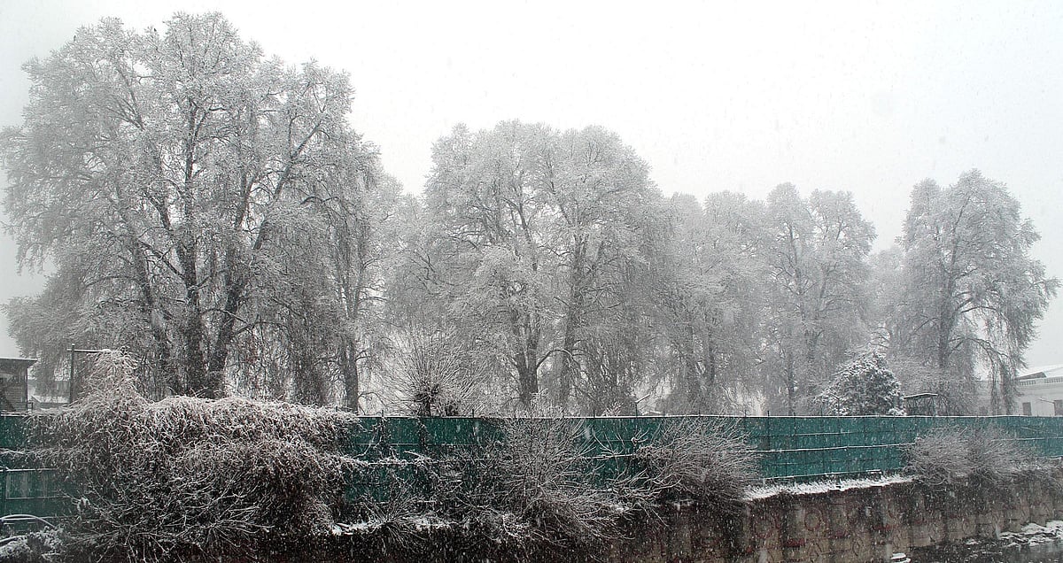 تصویر یو این آئی