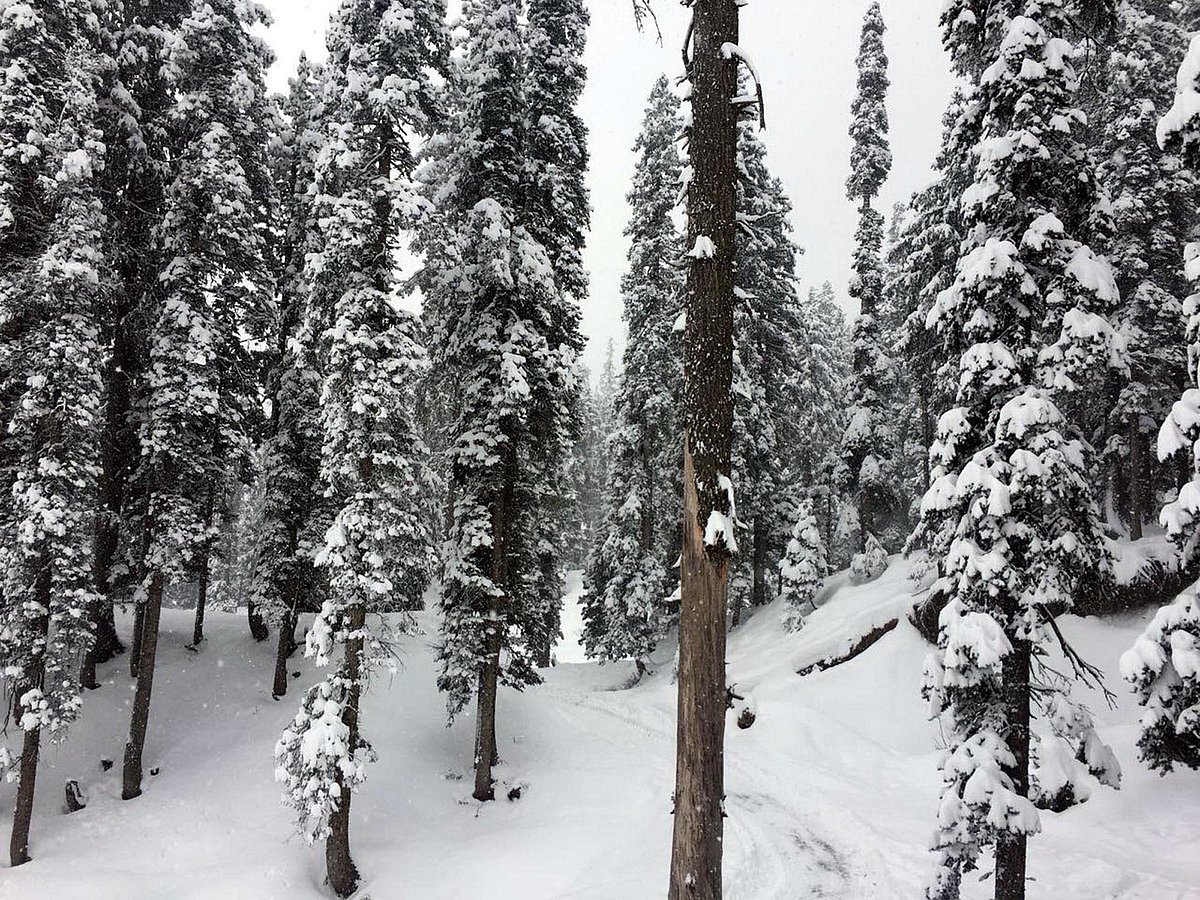 تصویر یو این آئی