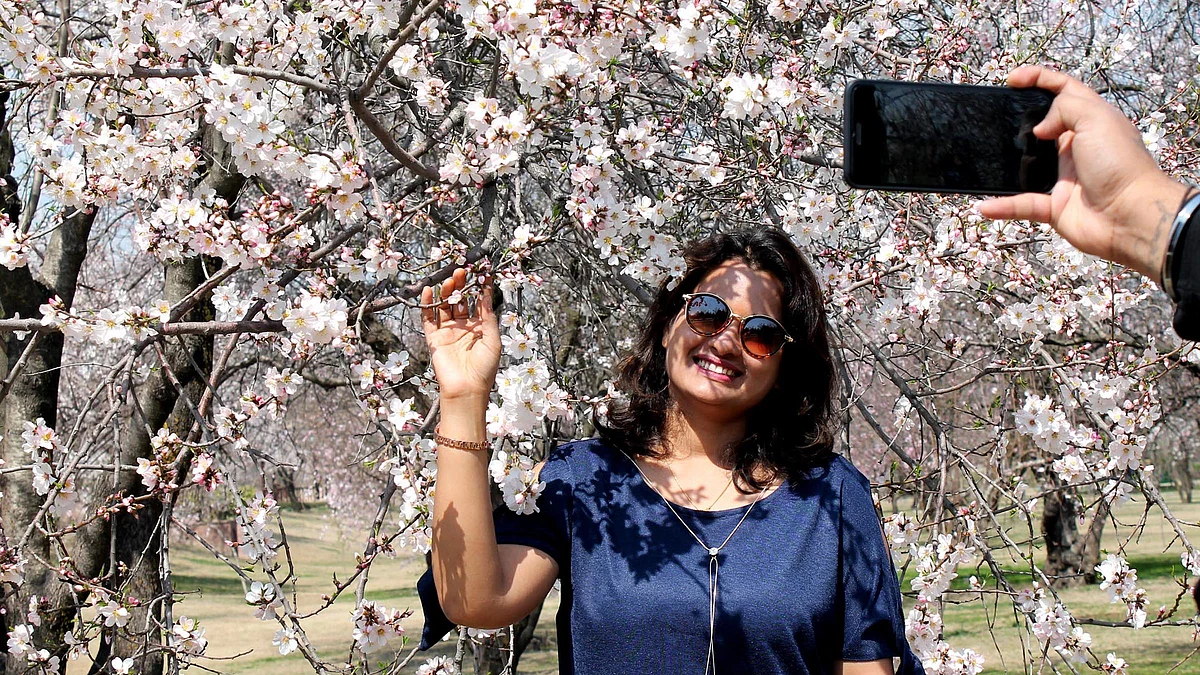 تصویر یو این آئی