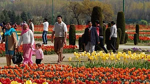 جموں و کشمیر: ایشیا کا سب سے بڑا ’باغِ گل لالہ‘ سیاحوں کے لیے کھولا گیا