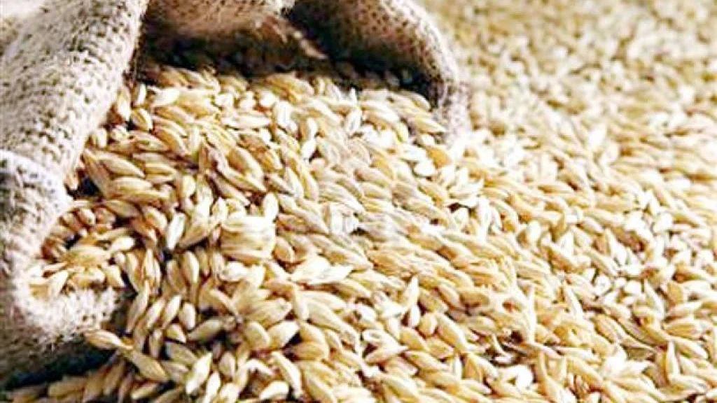 تصویر سوشل میڈیا