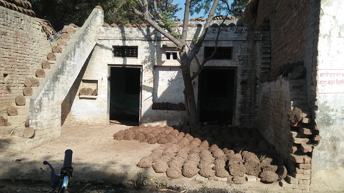 تصویر آس محمد کیف