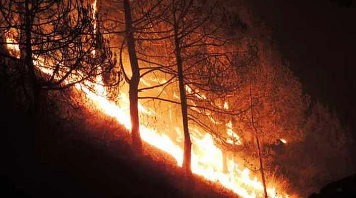 اتراکھنڈ: جنگل کی آگ بھی نہیں بجھا پا رہی بی جے پی حکومت