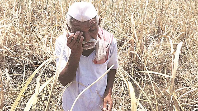 تصویر سوشل میڈیا