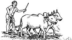 تصویر سوشل میڈیا