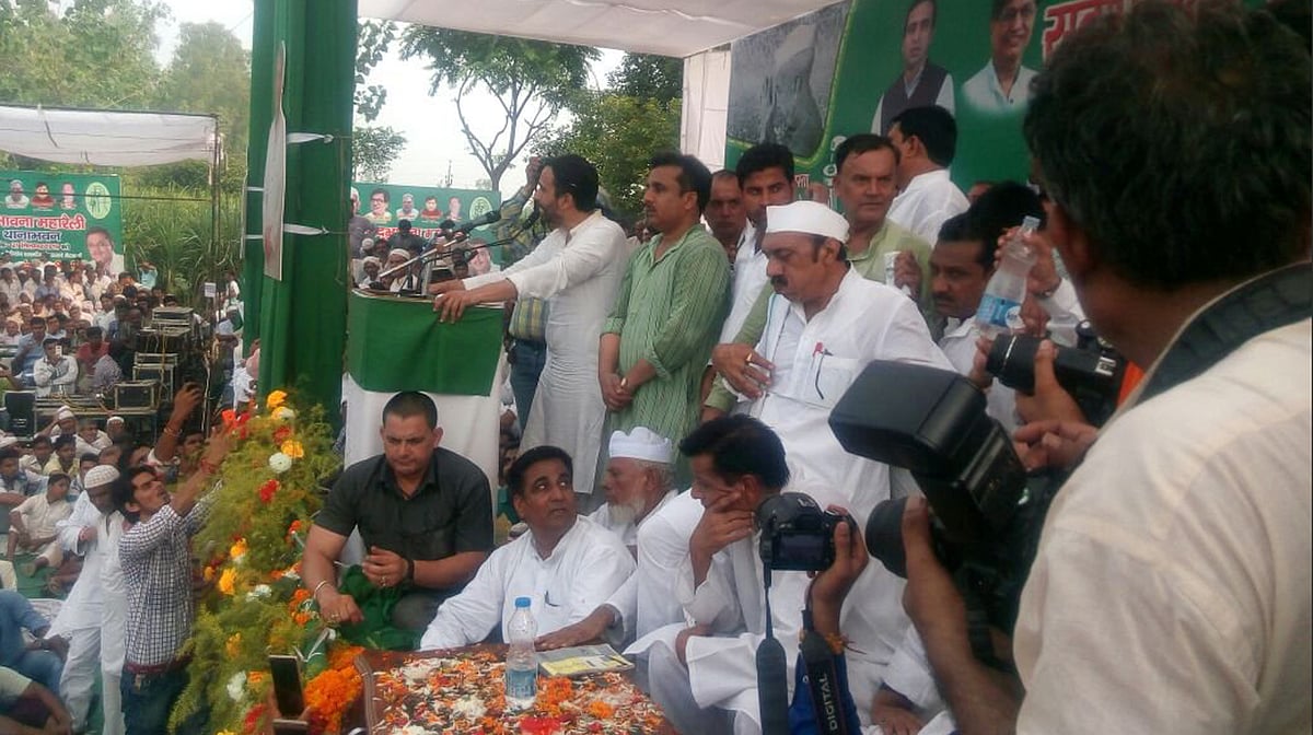 کیرانہ جیت کے بعد ہیرو بن کر ابھرے جینت چودھری