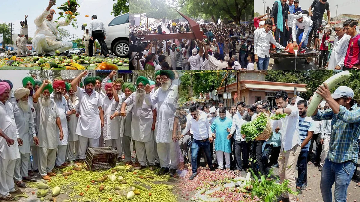 تصویر سوشل میڈیا