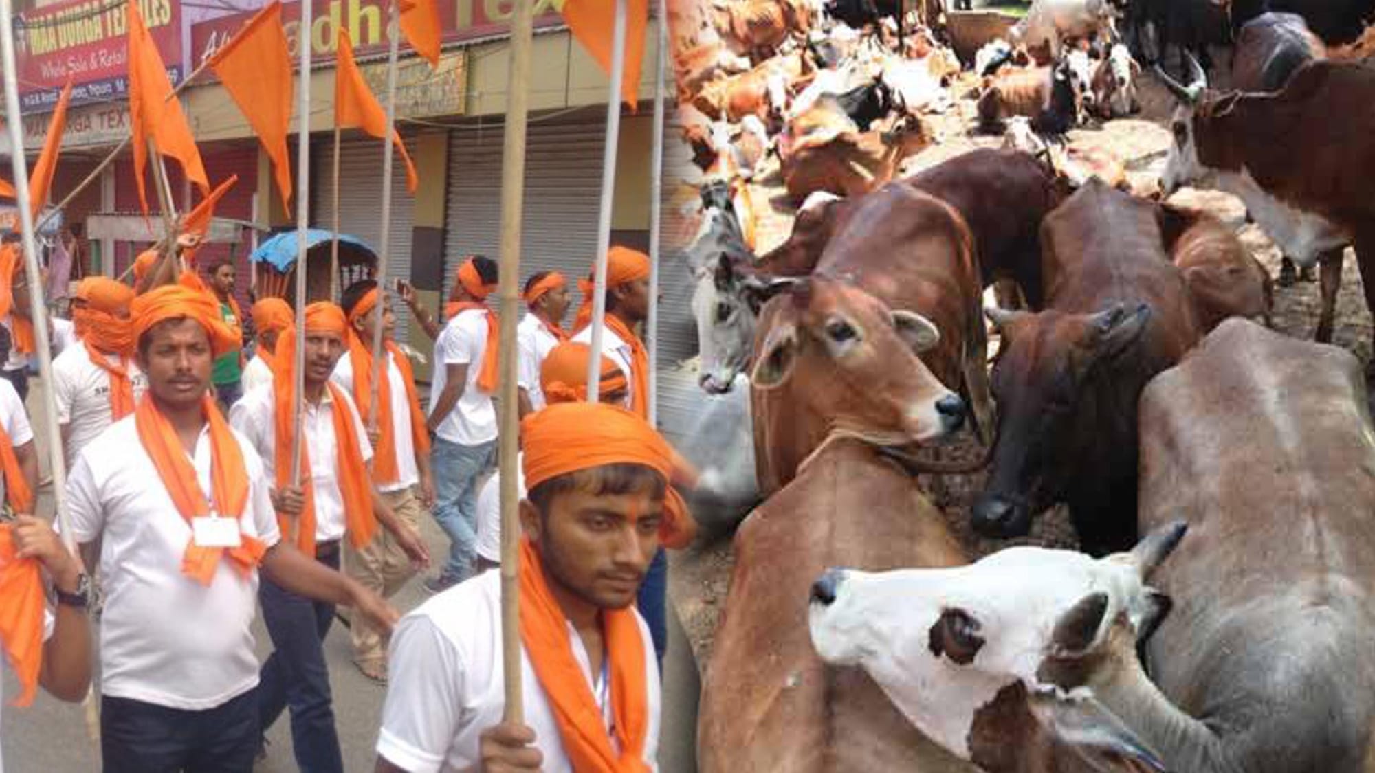 تصویر سوشل میڈیا