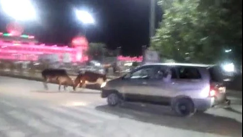 تصویر سوشل میڈیا