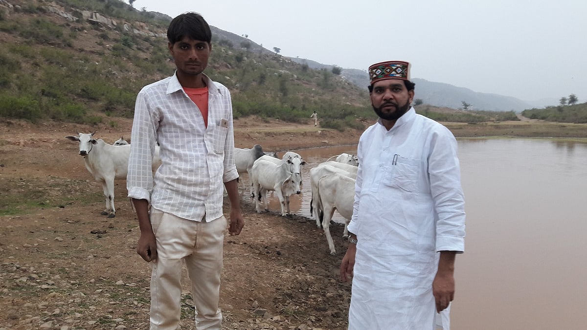 میوات: موب لنچنگ کے ذریعہ دودھ کا کاروبار تباہ کرنے کی سازش 