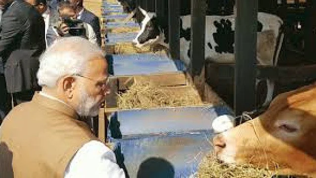 تصویر سوشل میڈیا