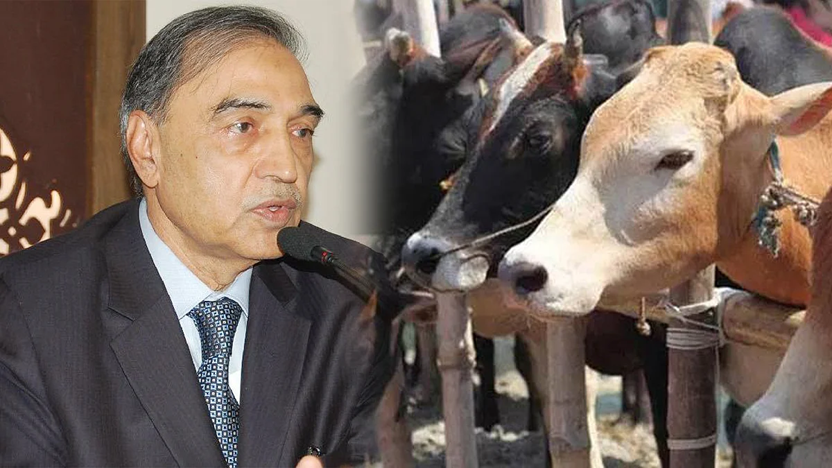 تصویر سوشل میڈیا