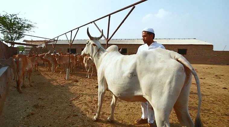 میوات کے لوگوں سے حب الوطنی کا ثبوت مانگنے کا حق کس کو ہے؟
