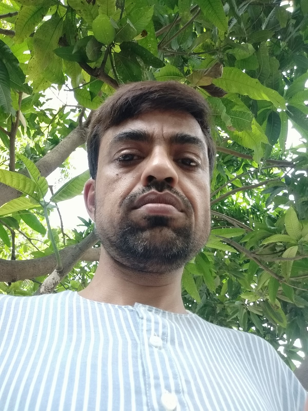 محمد شرافت علی