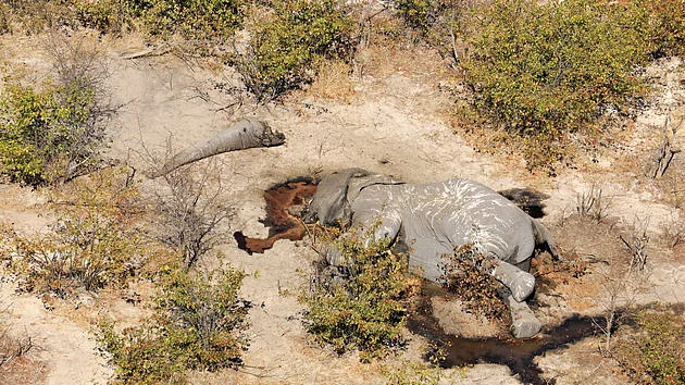 تصویر سوشل میڈیا