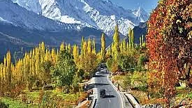 تصویر سوشل میڈیا