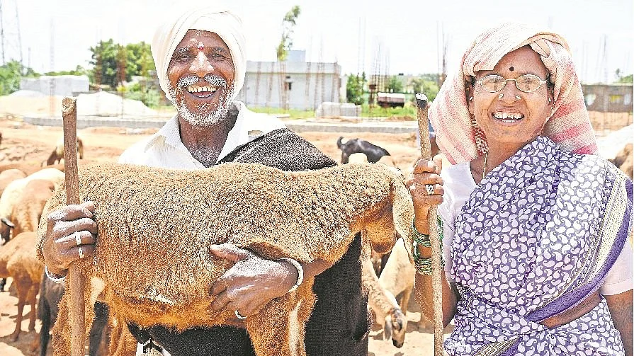 تصویر سوشل میڈیا