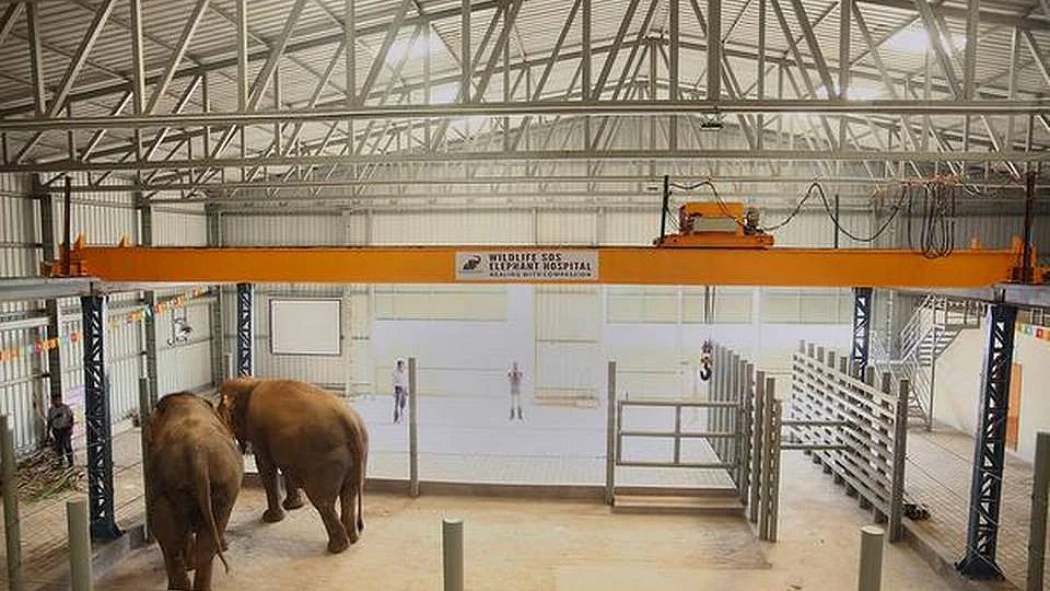 تصویر سوشل میڈیا