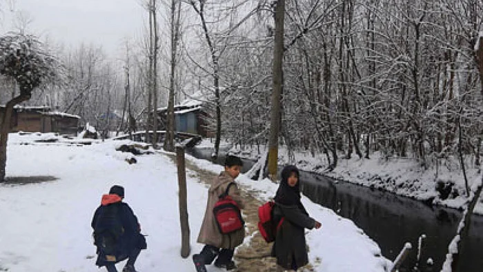 تصویر سوشل میڈیا