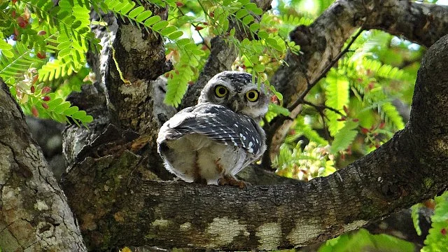 تصویر سوشل میڈیا