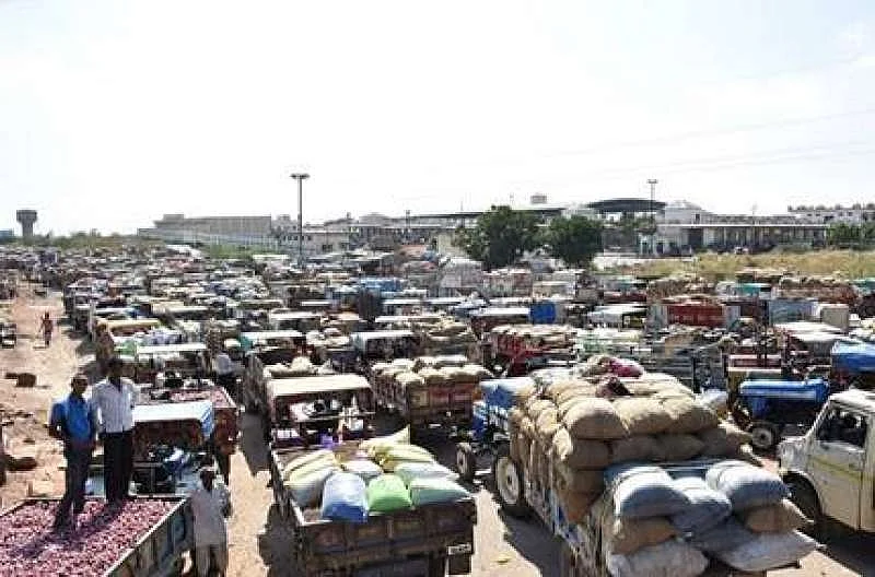 مندسور گراؤنڈ رپورٹ: کسانوں کی ناراضگی نے بی جے پی کی مشکلوں میں کیا اضافہ