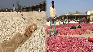 مدھیہ پردیش میں پیاز 50 پیسے اور لہسن 2 روپے فی کلو، کسانوں میں ہاہاکار