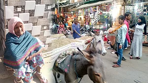 تصویر قومی آواز / آس محمد کیف