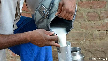 فلمی ستاروں کی محبت میں دودھ کی چوری، دودھ فروش پریشان