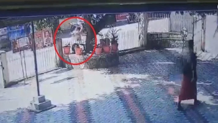 تصویر سوشل میڈیا