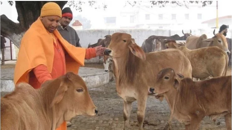 تصویر سوشل میڈیا