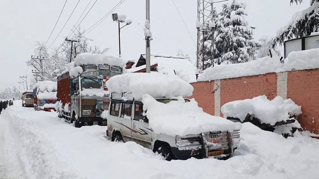 تصویر سوشل میڈیا